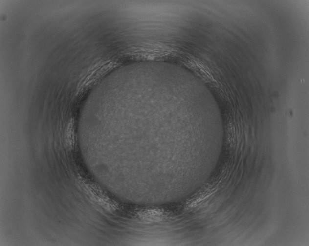 X0000062620594200601111036