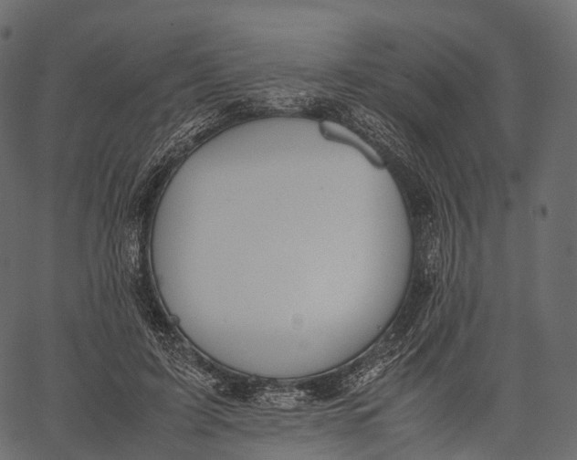 X0000062620595200601111036