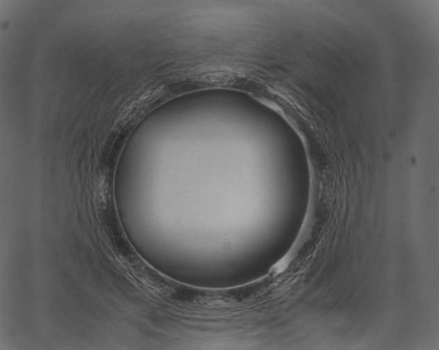 X0000062620597200601111036