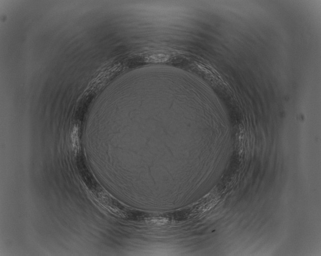 X0000062620598200601111036