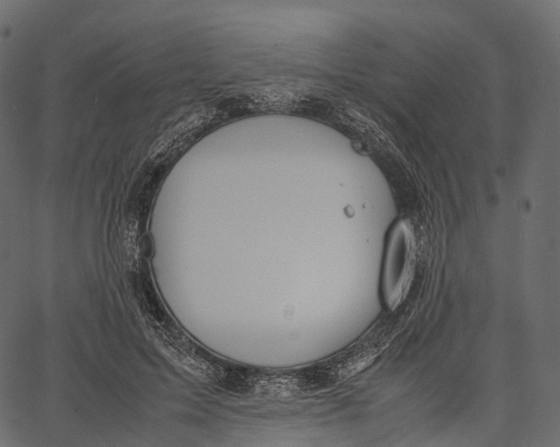 X0000062620599200601111036