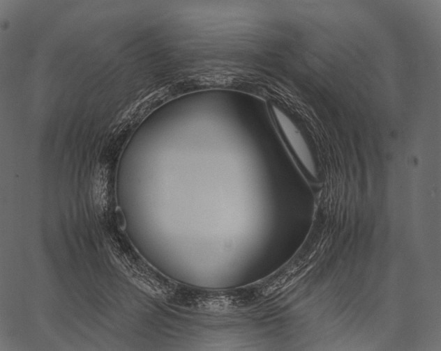 X0000062620600200601111036