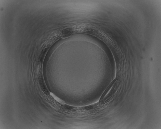 X0000062620601200601111036