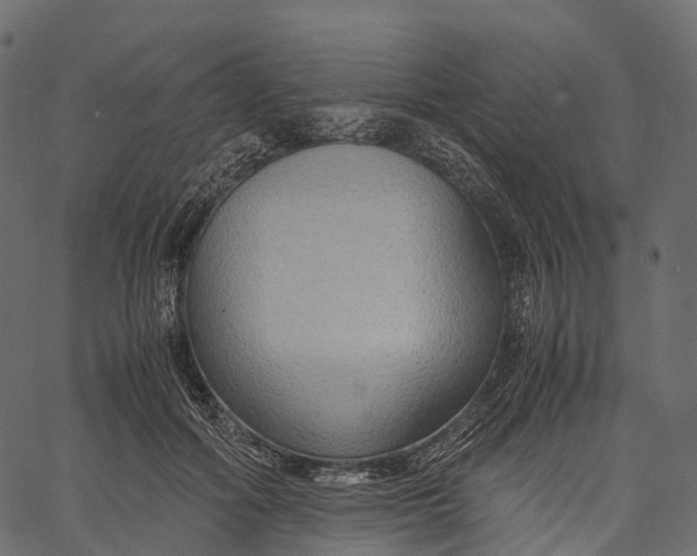 X0000062620602200601111036