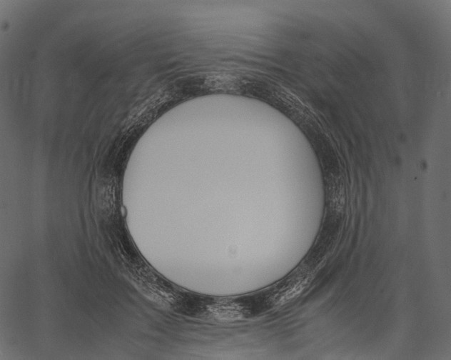 X0000062620603200601111036