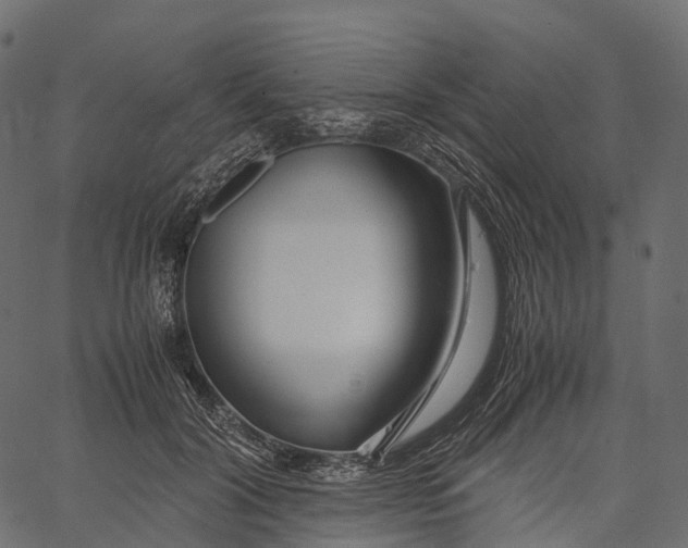 X0000062620604200601111036