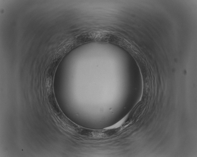 X0000062620605200601111036