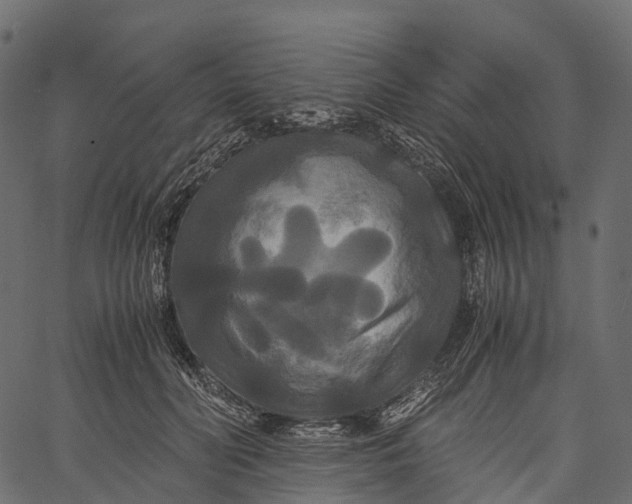 X0000062620606200601111036