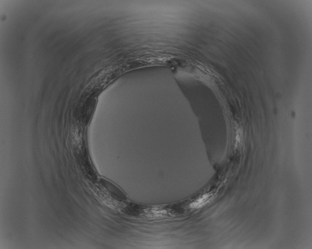 X0000062620607200601111036