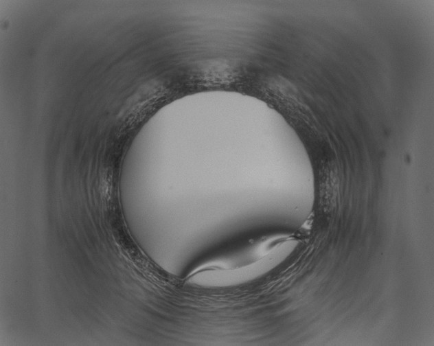 X0000062620608200601111036