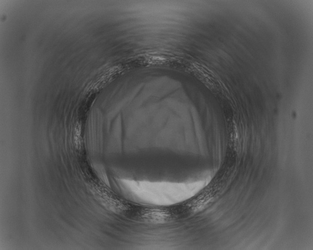 X0000062620610200601111036