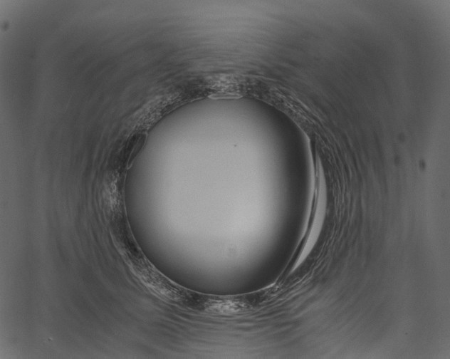 X0000062620611200601111036