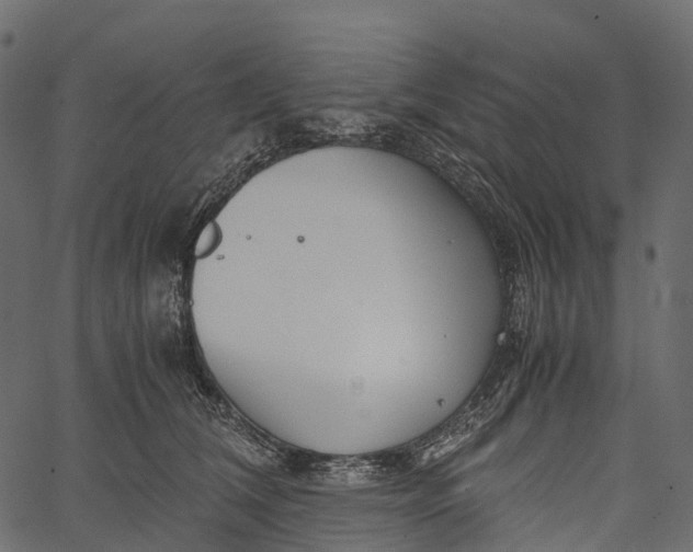 X0000062620612200601111036