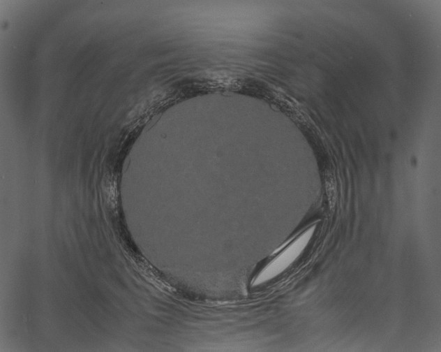 X0000062620613200601111036