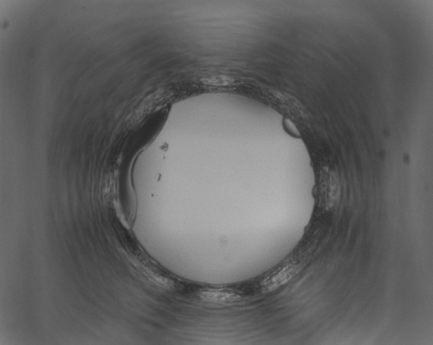 X0000062620614200601111036