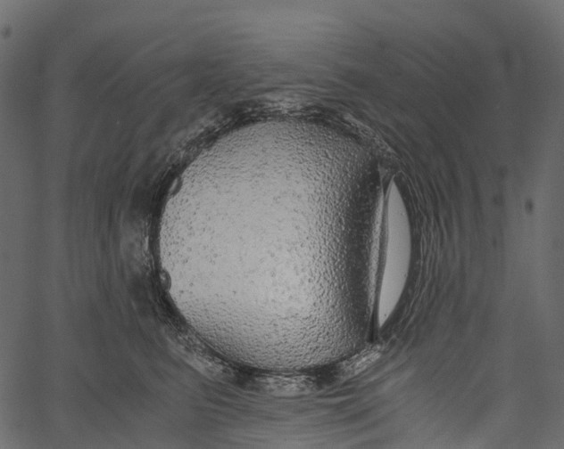 X0000062620615200601111036