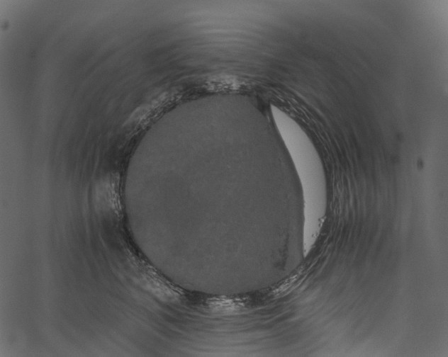 X0000062620616200601111036