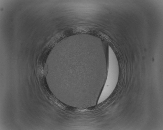 X0000062620617200601111036