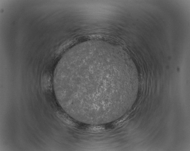 X0000062620619200601111036