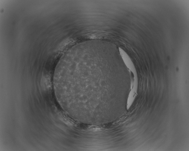 X0000062620620200601111036