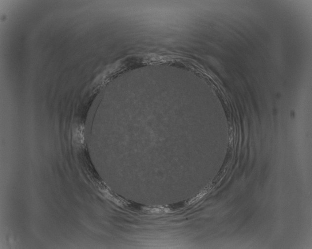 X0000062620621200601111036