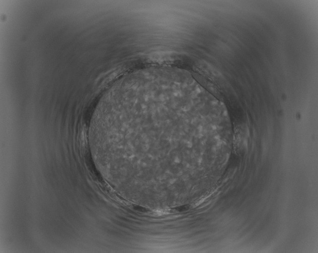 X0000062620623200601111036