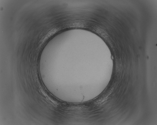 X0000062620625200601111035