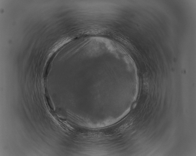 X0000062620626200601111035