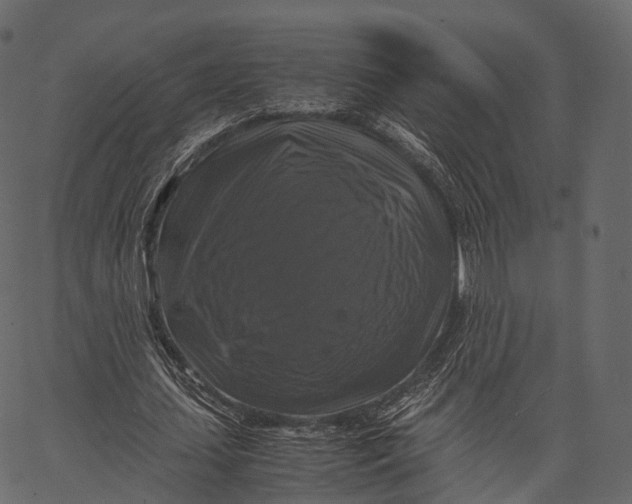 X0000062620627200601111035