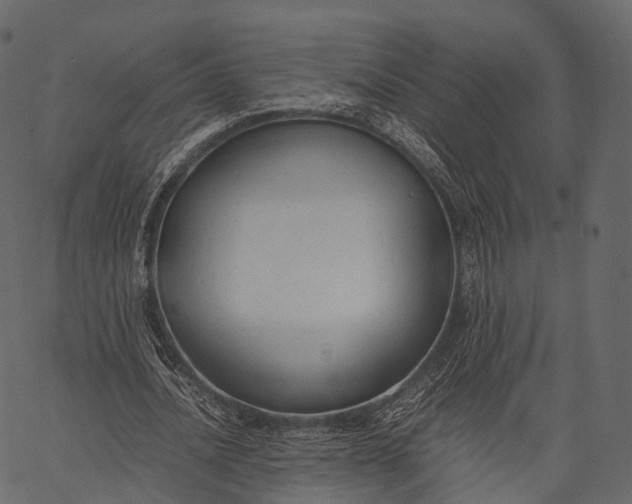 X0000062620628200601111035