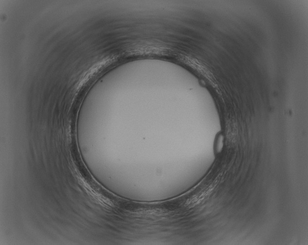 X0000062620629200601111035