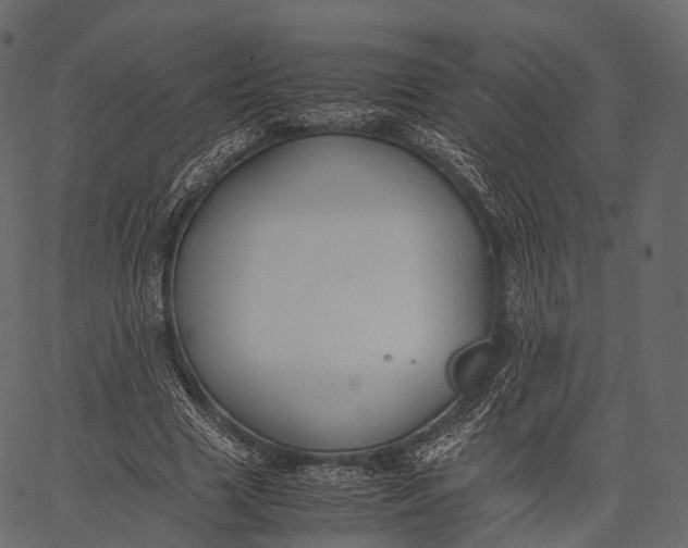 X0000062620633200601111035