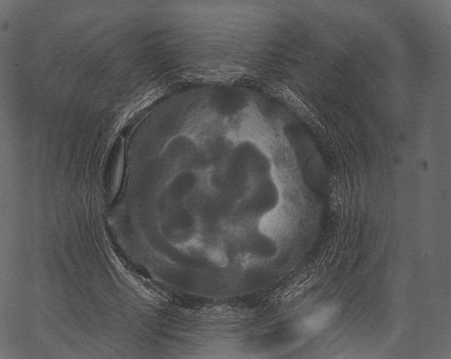 X0000062620634200601111035