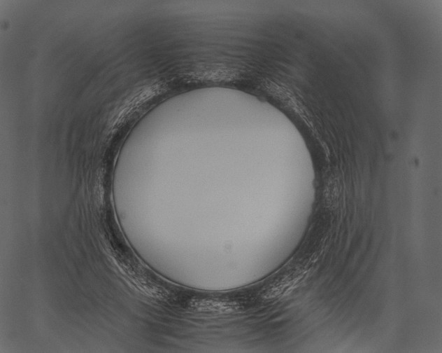 X0000062620635200601111035