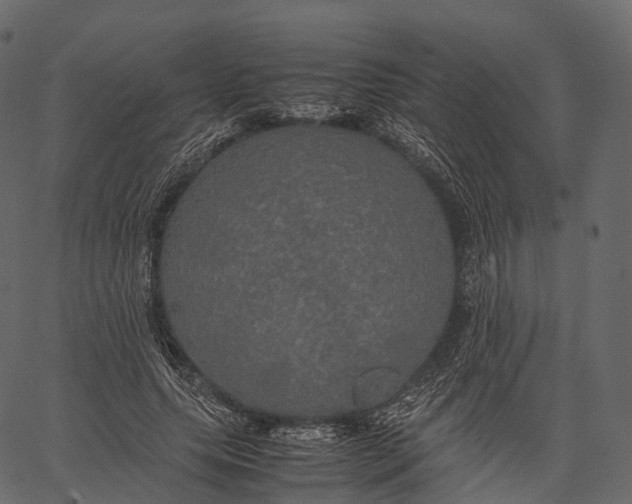 X0000062620639200601111035