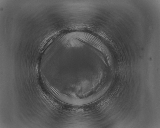 X0000062620640200601111035