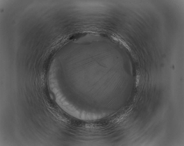 X0000062620641200601111035