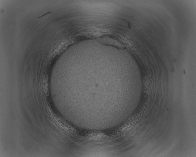 X0000062620642200601111035