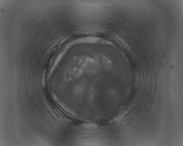 X0000062620644200601111035