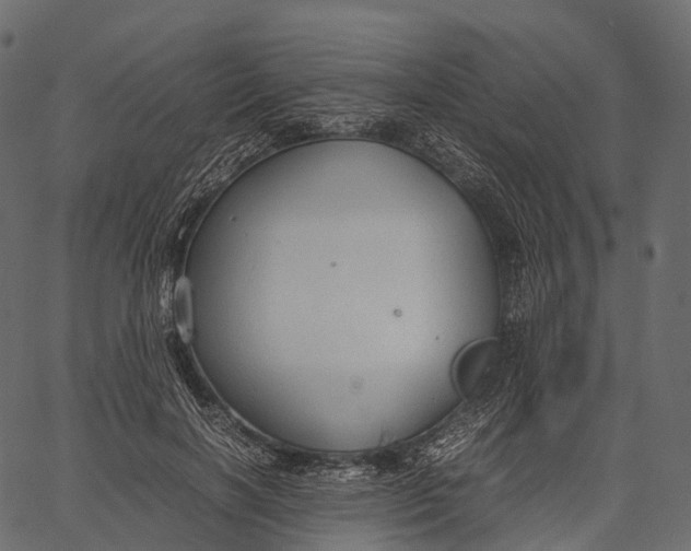 X0000062620646200601111035