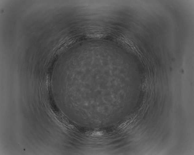 X0000062620647200601111035