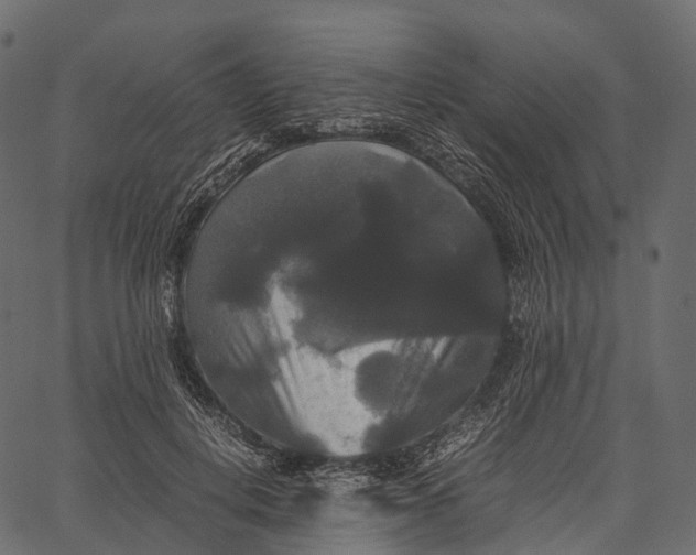 X0000062620648200601111035