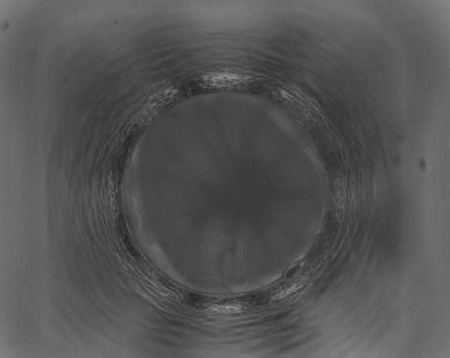 X0000062620653200601111035