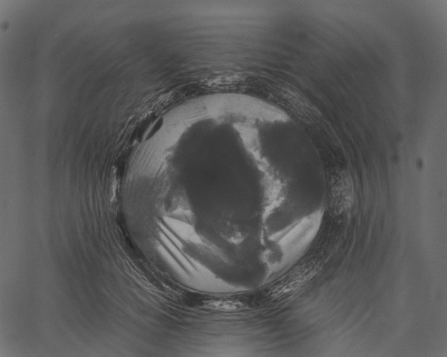 X0000062620654200601111035