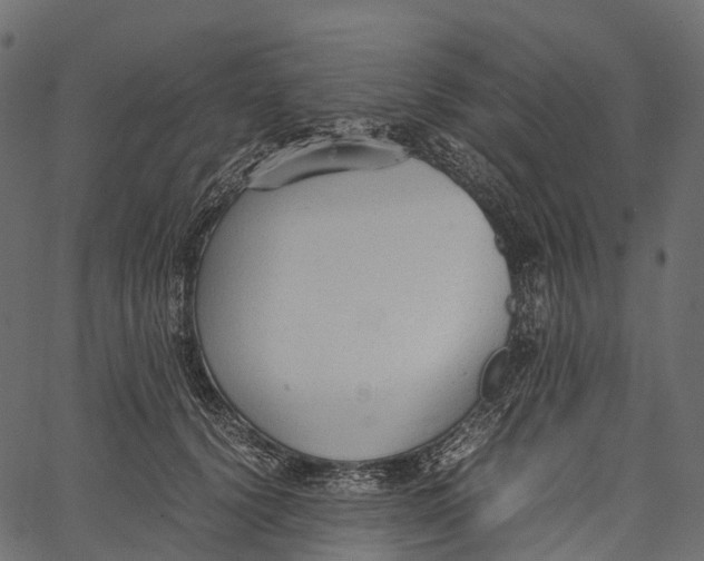 X0000062620656200601111035