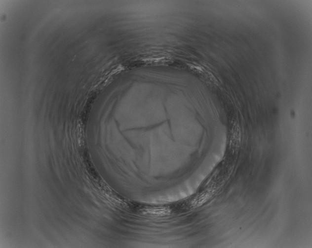 X0000062620659200601111035