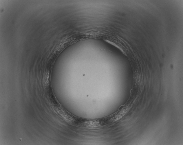 X0000062620660200601111035