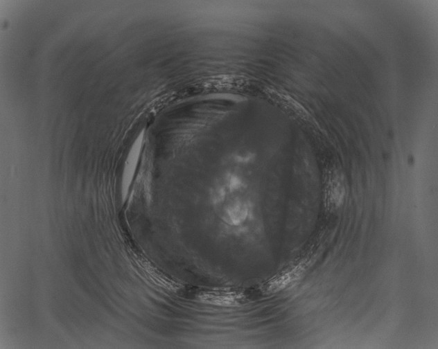 X0000062620661200601111035