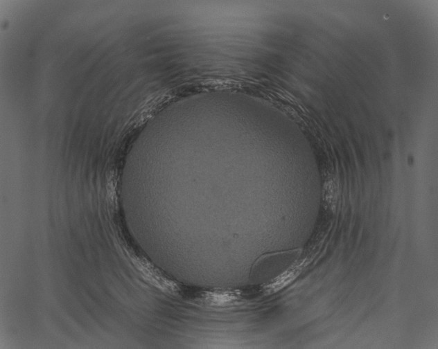 X0000062620662200601111035