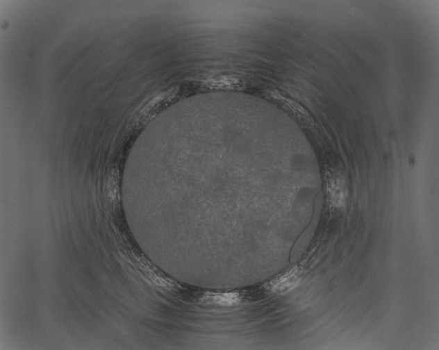 X0000062620665200601111035